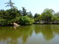 Nara – pond near large Budda
