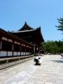 Nara – large Budda inner wall