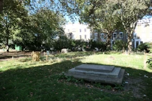 Some tombstones