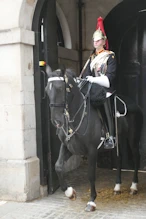 Horse Guards