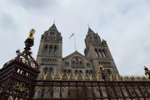 Natural History Museum