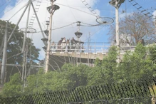 Avery enclosure at zoo with monkeys