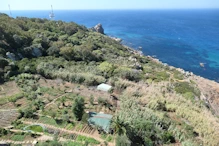 View from