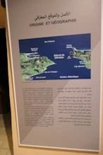Geography of