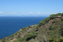 View from villa