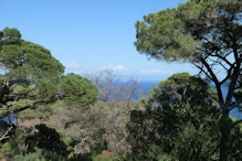 View towards Spain