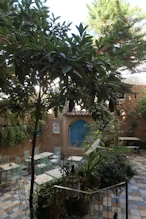 House garden