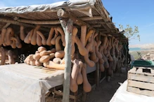Gourds or pumpkins