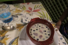 pana cotta