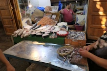 Fish shop