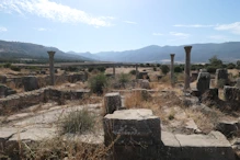 Overview