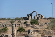Arches