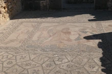 Mosaic in house