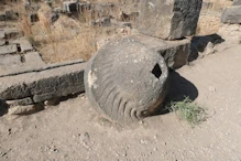 Olive crusher