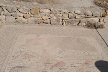 Fish mosaic