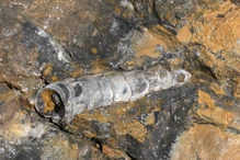 Fossil bearing rock sliced