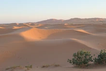 Dunes with sunset colour