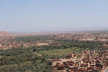 View over valley with fruit orchards