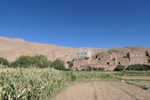 Old style mud brick house with buttress towers