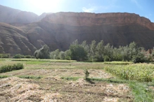 View over fiellds to cliffs
