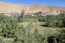 Houses built on steep land to maximise fields