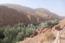 Monkey fingers rock formation