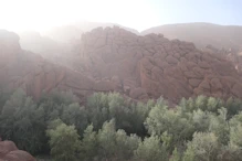 Monkey fingers rock formation
