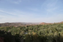 View  across the farmland