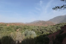 View  across the farmland