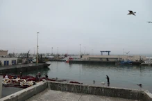 The harbour
