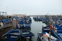 Lots of small blue fishing boats