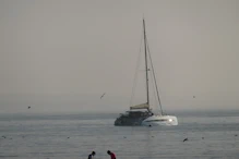 A big cat off the beach (lots of little real cats in the town)