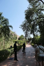 The circuit of the garden