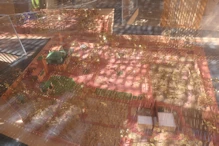 Model of garden
