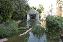 Pavillion and pool with waterlilies