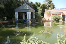 Pavillion and pool with waterlilies