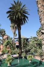 A pool with a algal bloom