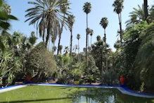 Pool with algal bloom