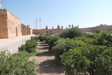 Gardens on a lower level