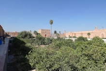 View from corner showing scale of palace