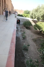 The connection between different gardens