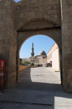 Mosque of Mohammad Ali