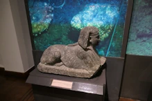 A sphynx retrieved fron the sea