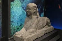 A sphynx retrieved fron the sea