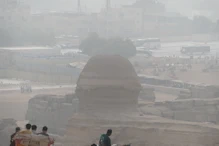 Looking at the back of the sphynx