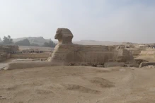 The sphynx from side on