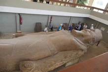 A fallen colossus of Ramases