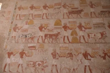 Tomb of Rekhmire – animals