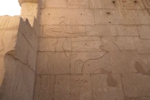 Ramesses in a war charriot