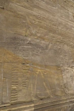Image of pharoah